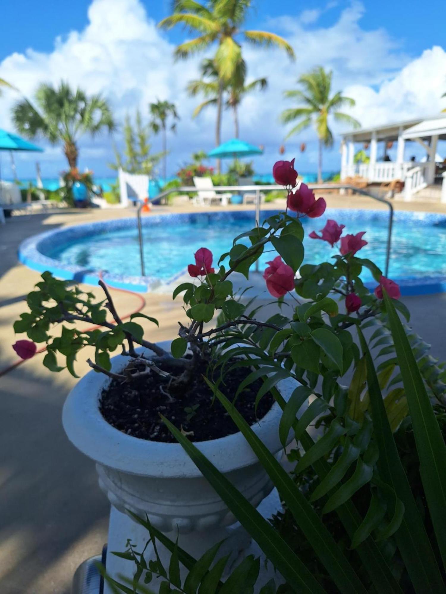 Sibonne Beach Hotel Grace Bay Bagian luar foto